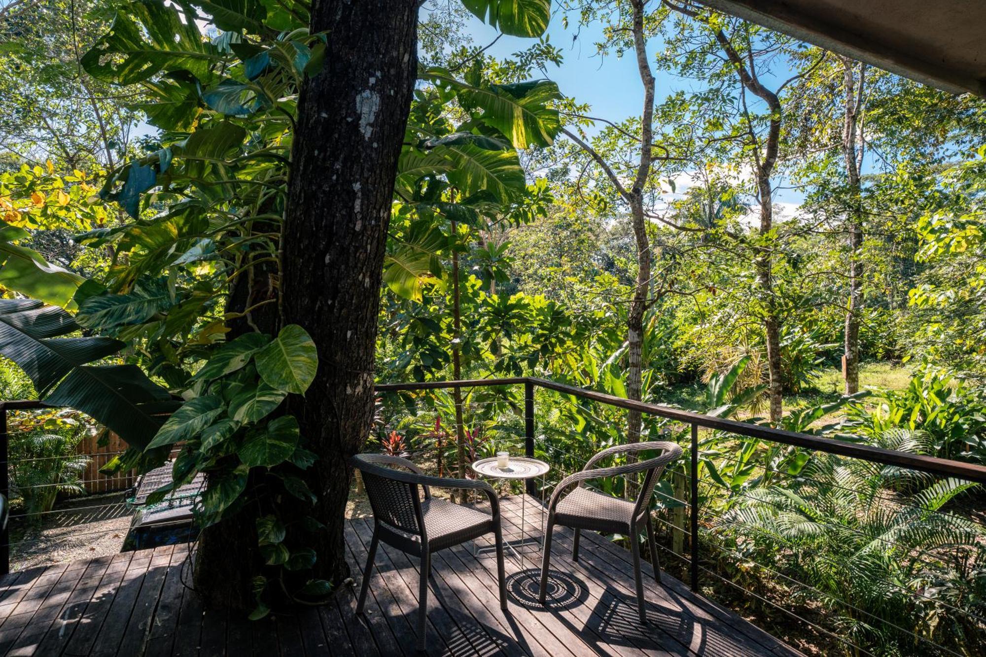 Feeling Trees Jungle Lodge Cabuya  Екстериор снимка