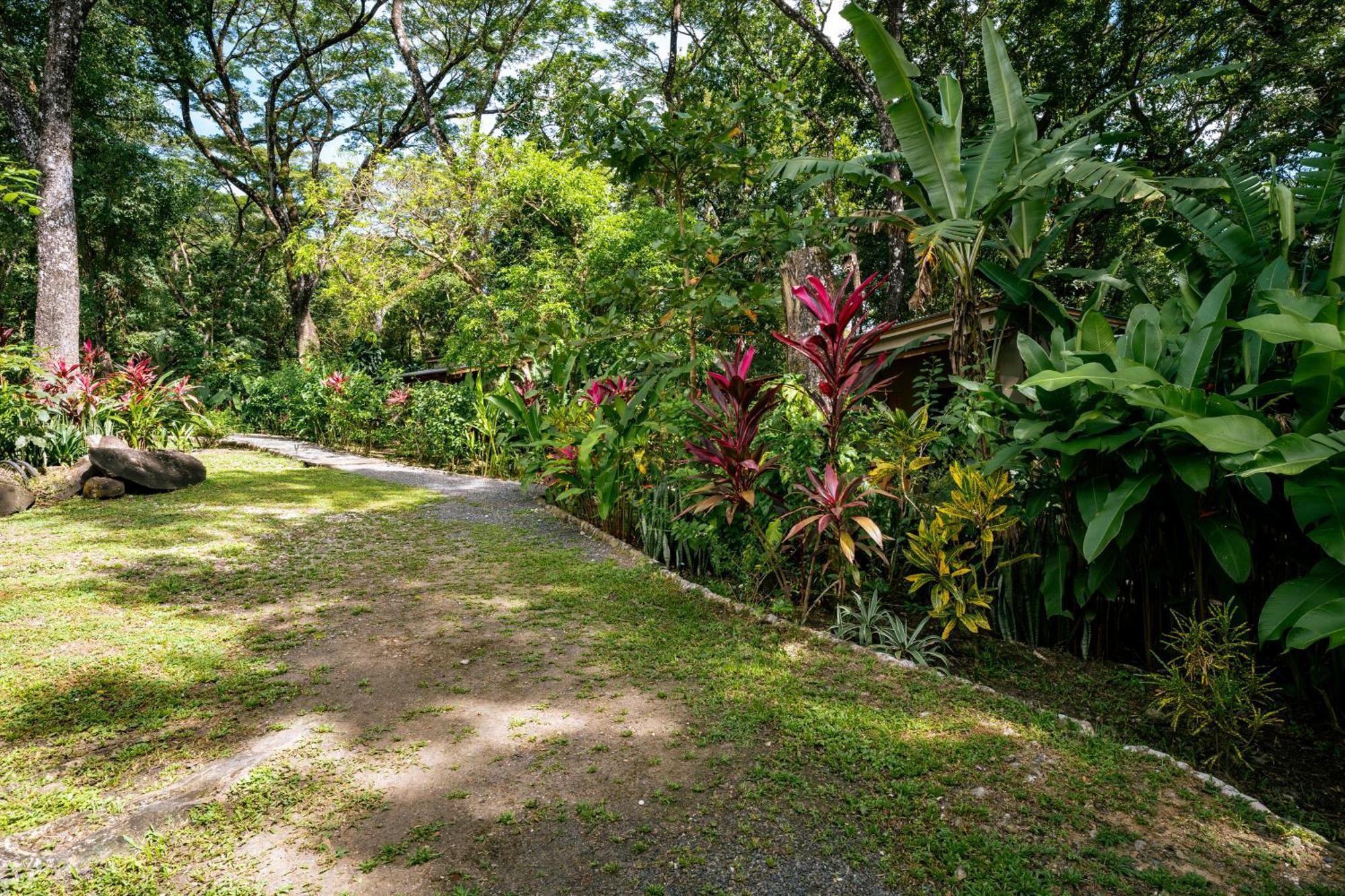 Feeling Trees Jungle Lodge Cabuya  Екстериор снимка