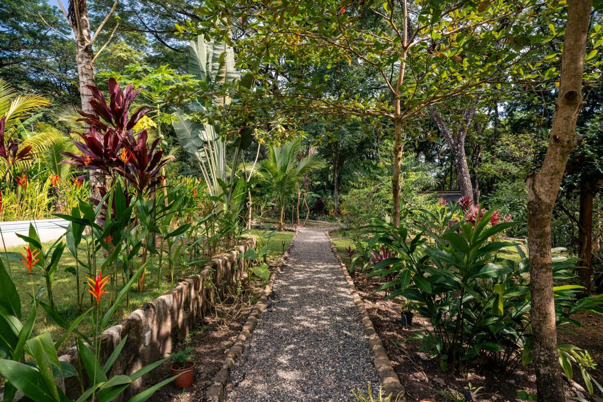 Feeling Trees Jungle Lodge Cabuya  Екстериор снимка