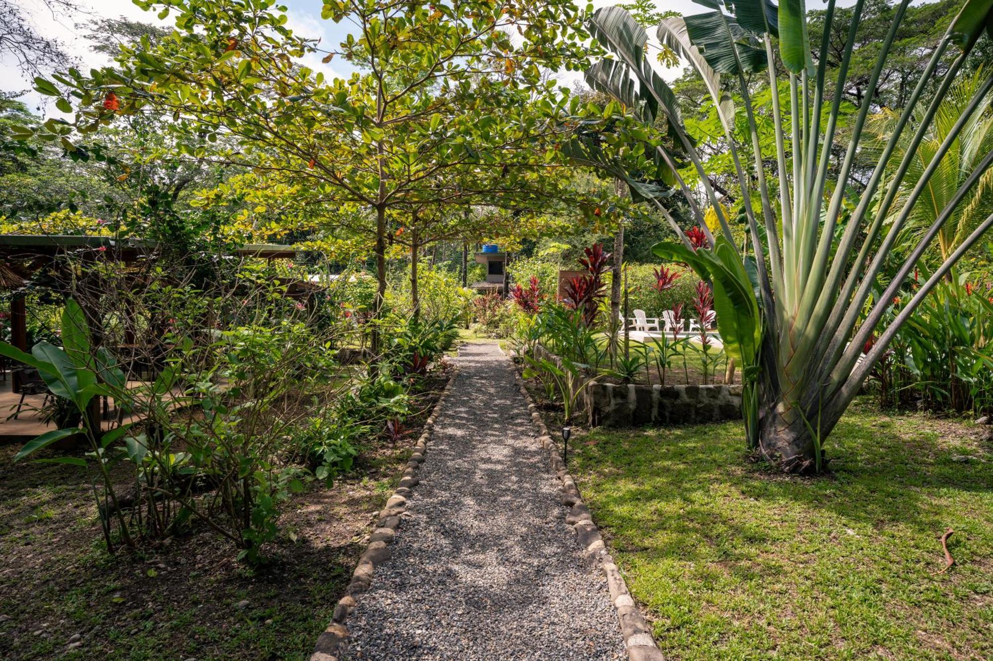 Feeling Trees Jungle Lodge Cabuya  Екстериор снимка