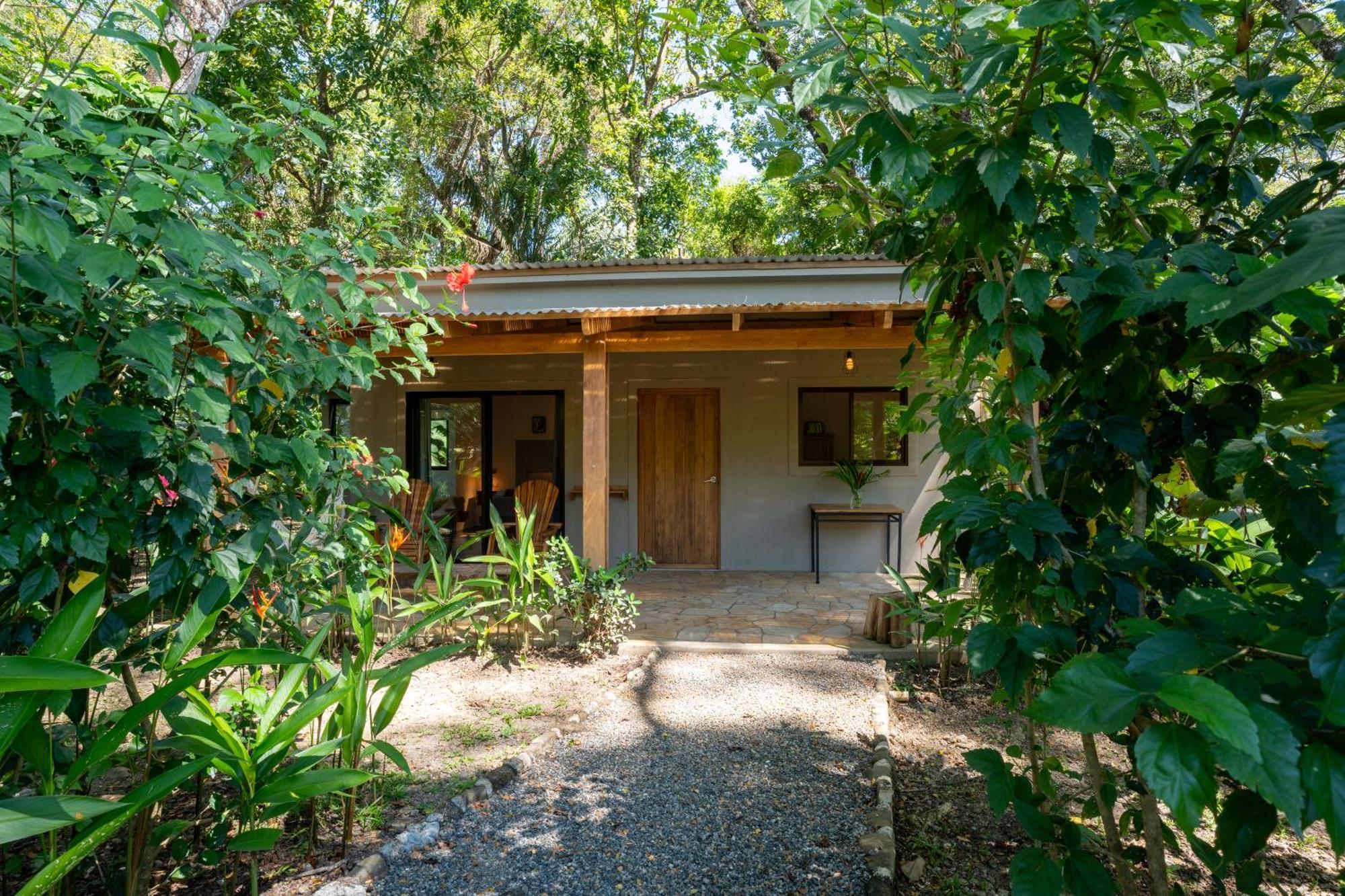 Feeling Trees Jungle Lodge Cabuya  Екстериор снимка