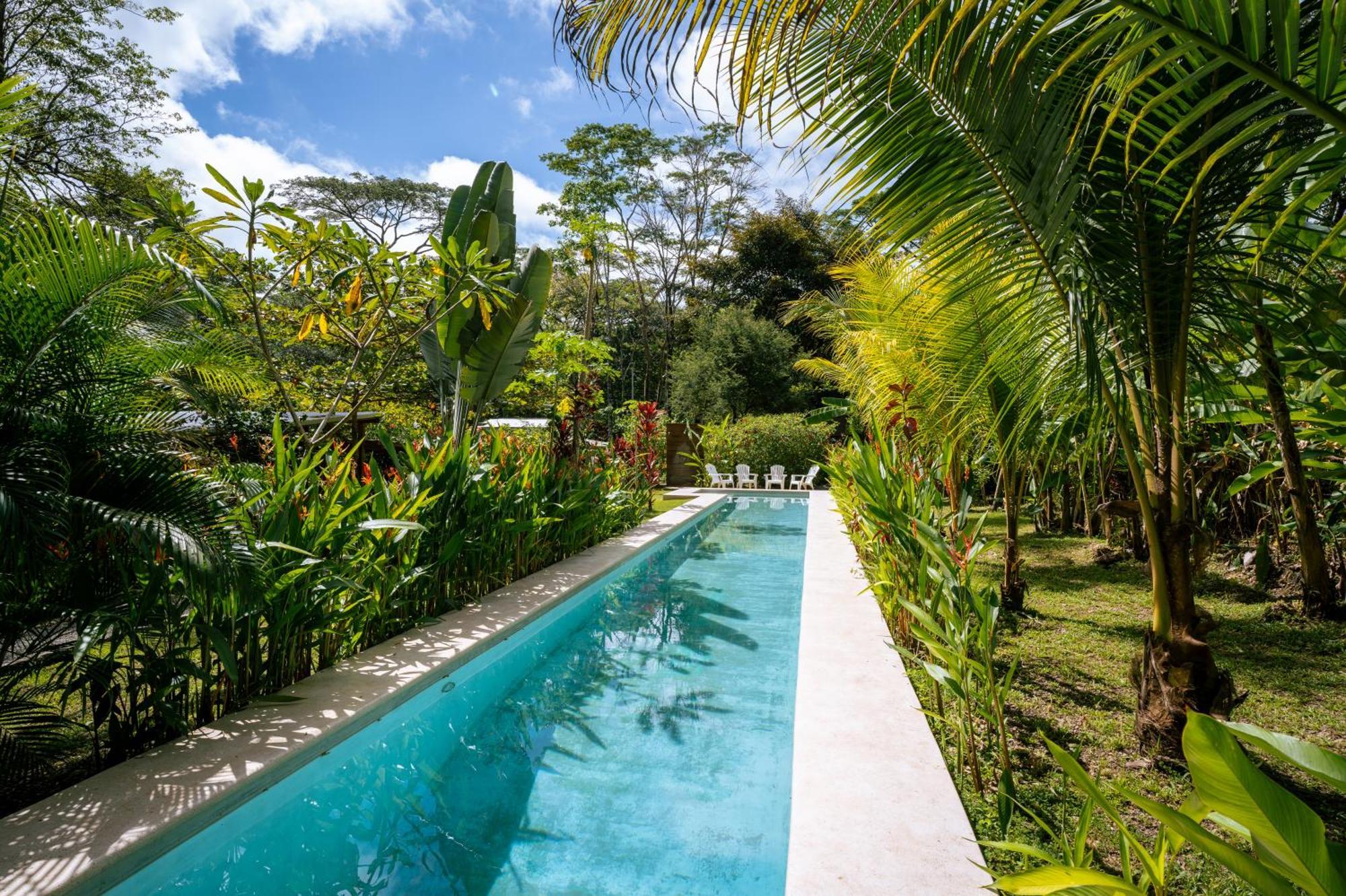 Feeling Trees Jungle Lodge Cabuya  Екстериор снимка