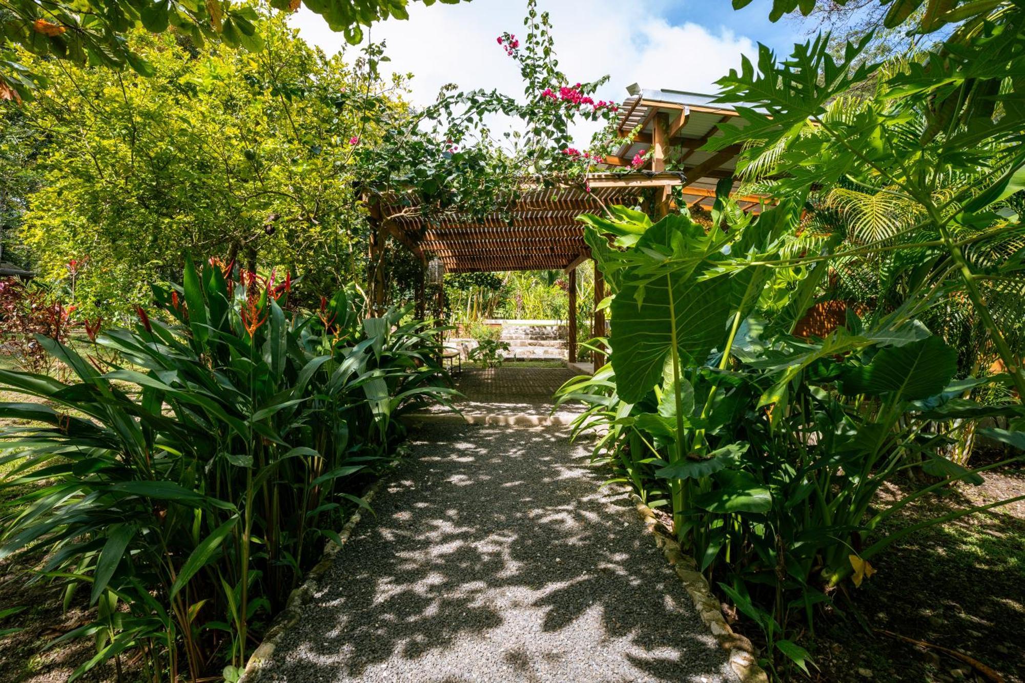 Feeling Trees Jungle Lodge Cabuya  Екстериор снимка