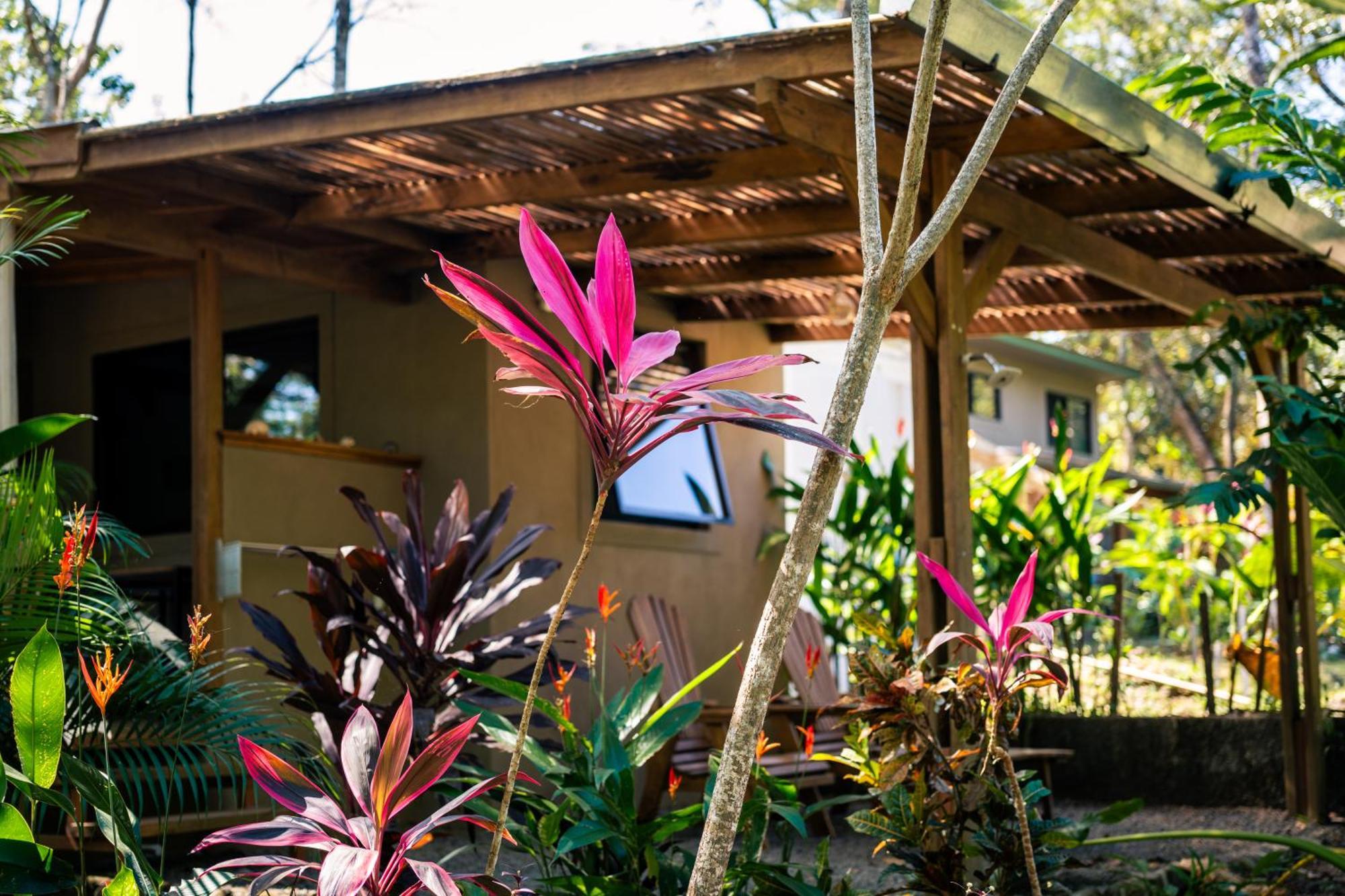 Feeling Trees Jungle Lodge Cabuya  Екстериор снимка