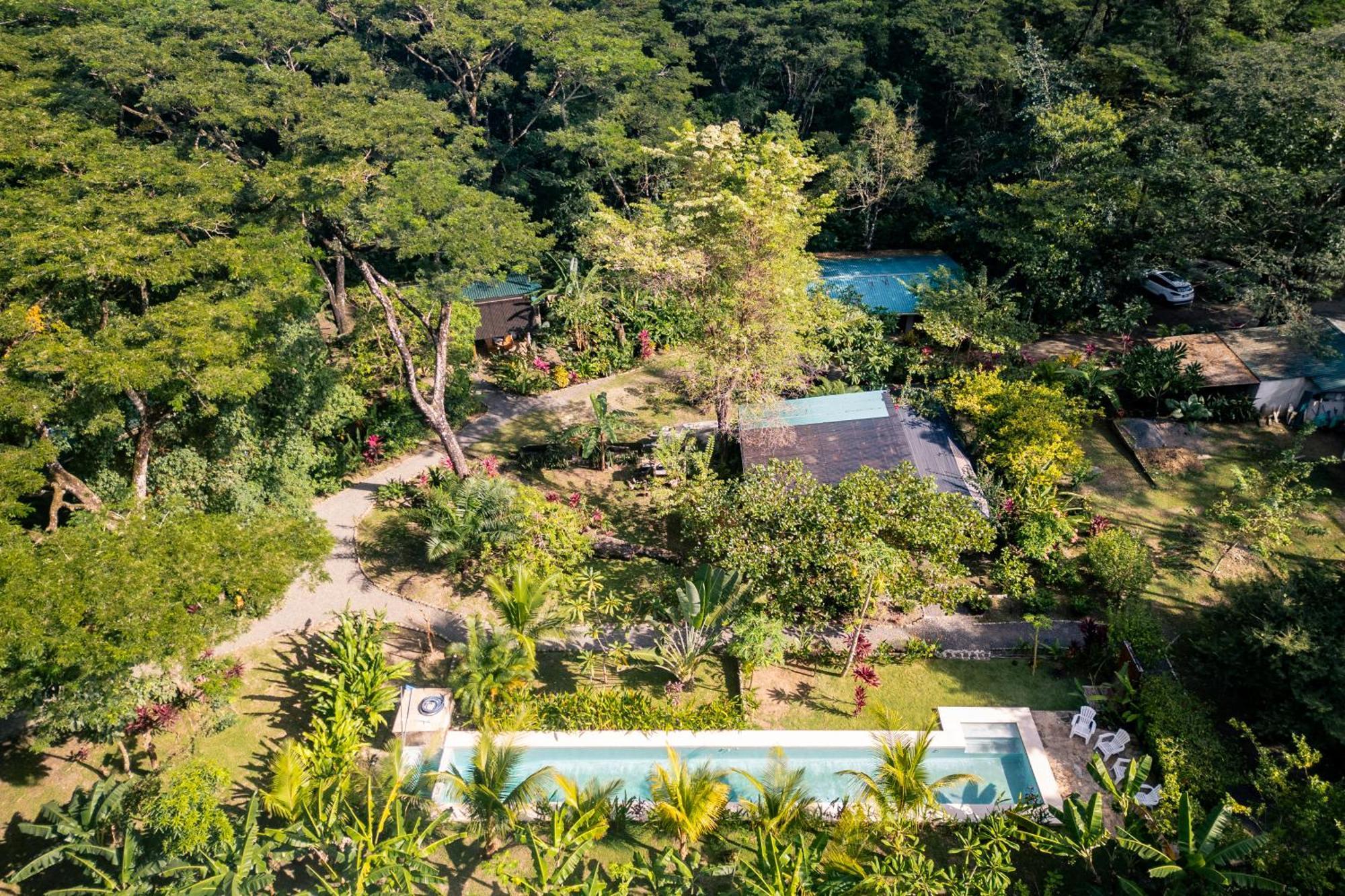 Feeling Trees Jungle Lodge Cabuya  Екстериор снимка