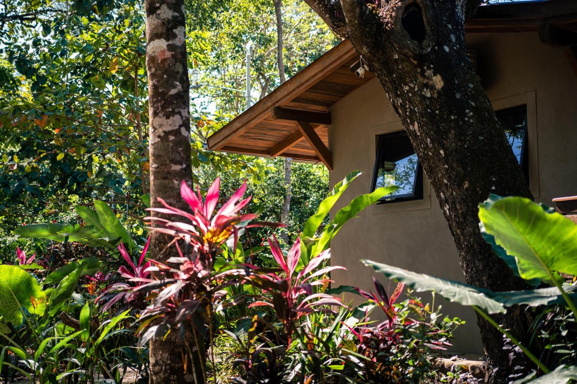 Feeling Trees Jungle Lodge Cabuya  Екстериор снимка