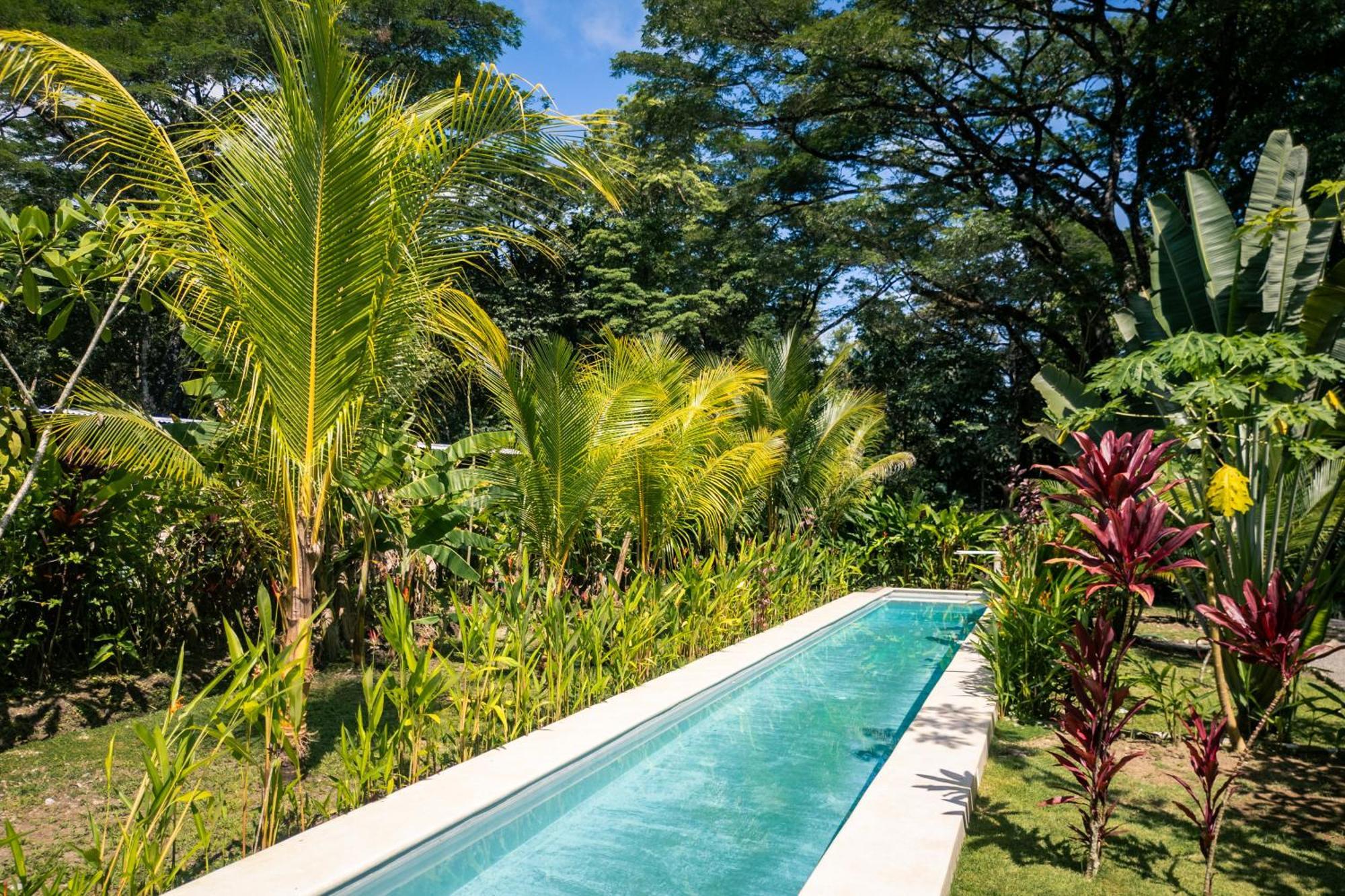 Feeling Trees Jungle Lodge Cabuya  Екстериор снимка